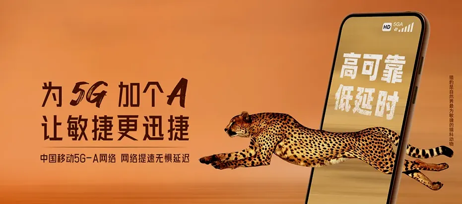 沙洋县沙洋县沙洋新港区管理委员会 移动宽带